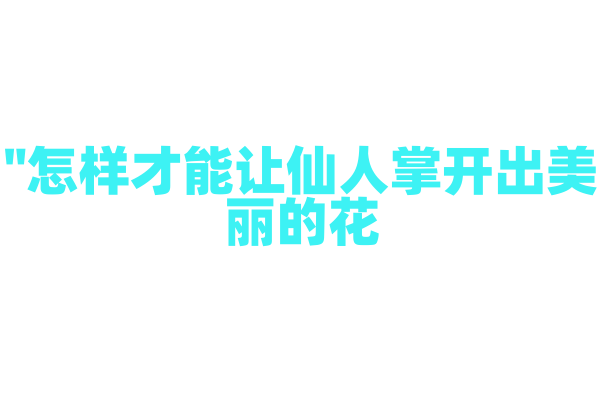 "怎样才能让仙人掌开出美丽的花？"